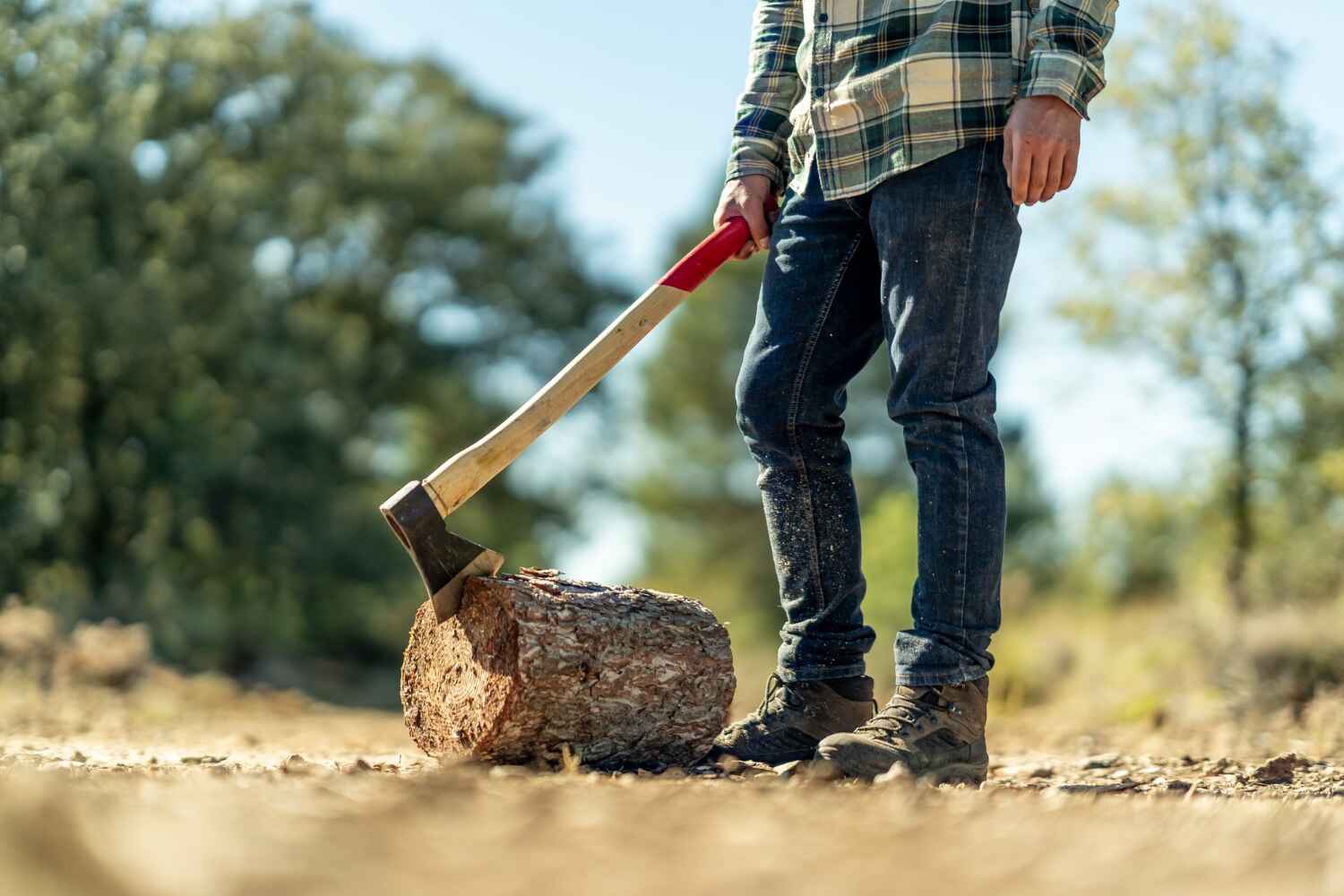 Tree Removal for Businesses in Riverview, FL